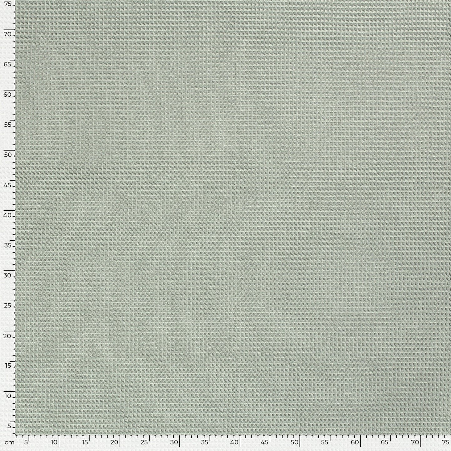 Baumwollwaffel-Minze