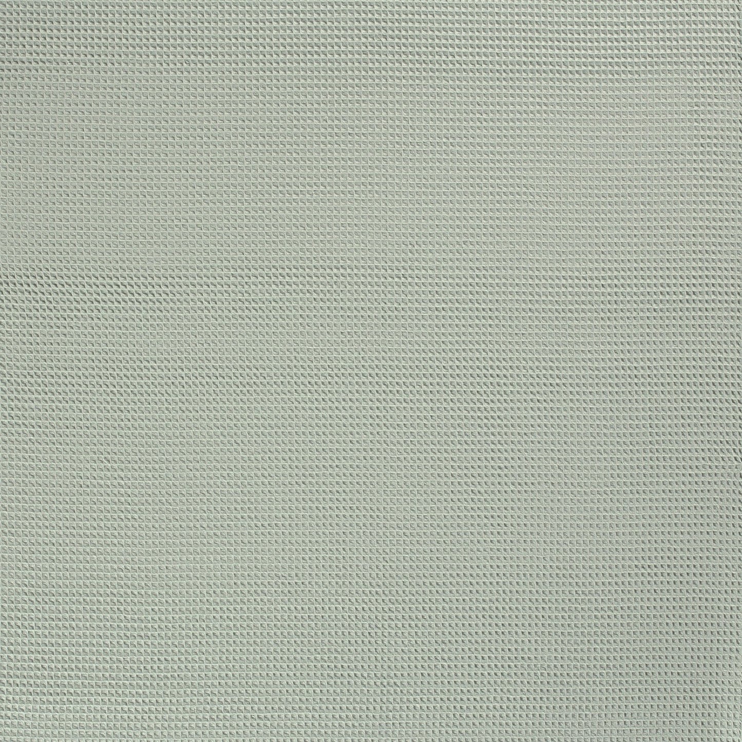 Baumwollwaffel-Minze