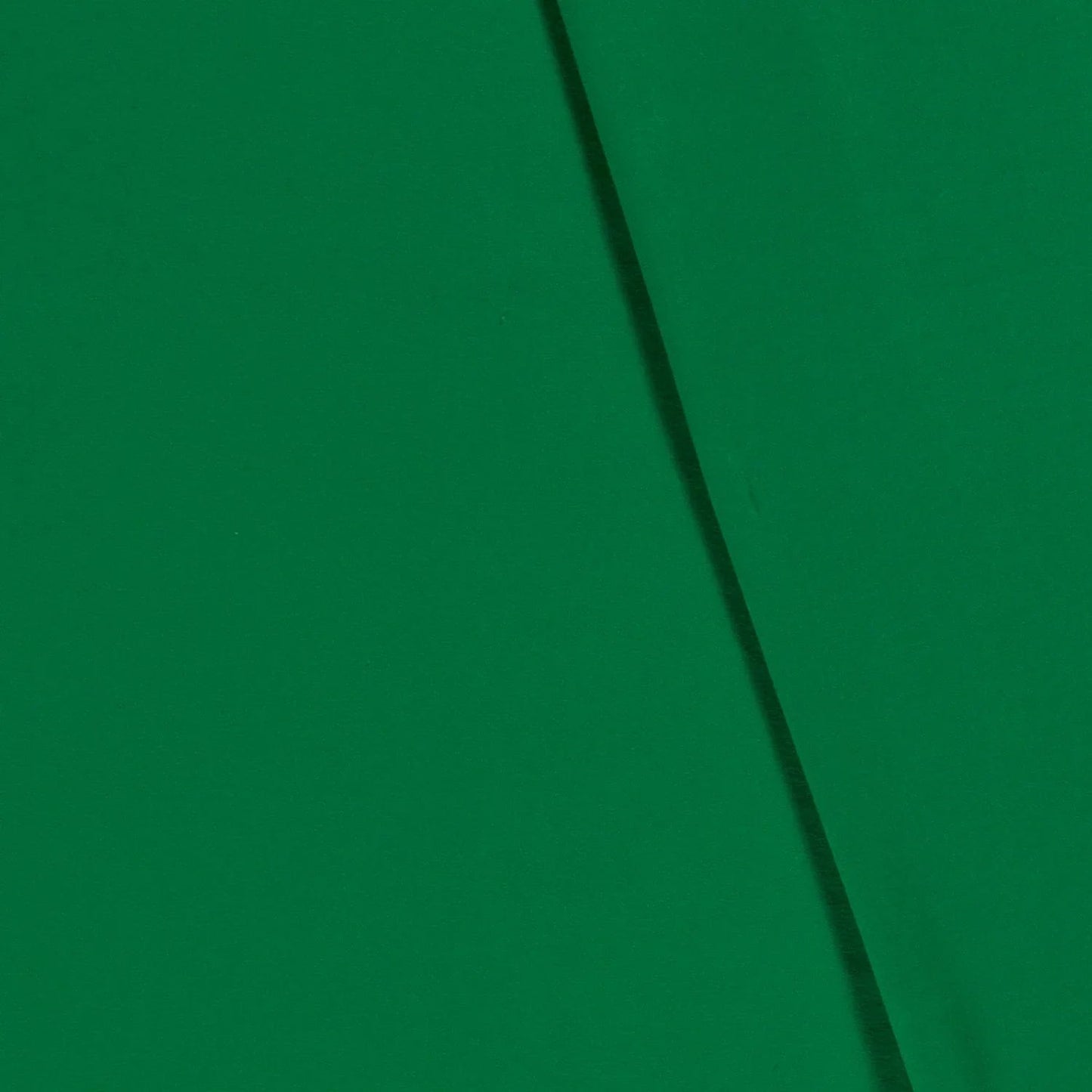 Grüner Baumwolljersey