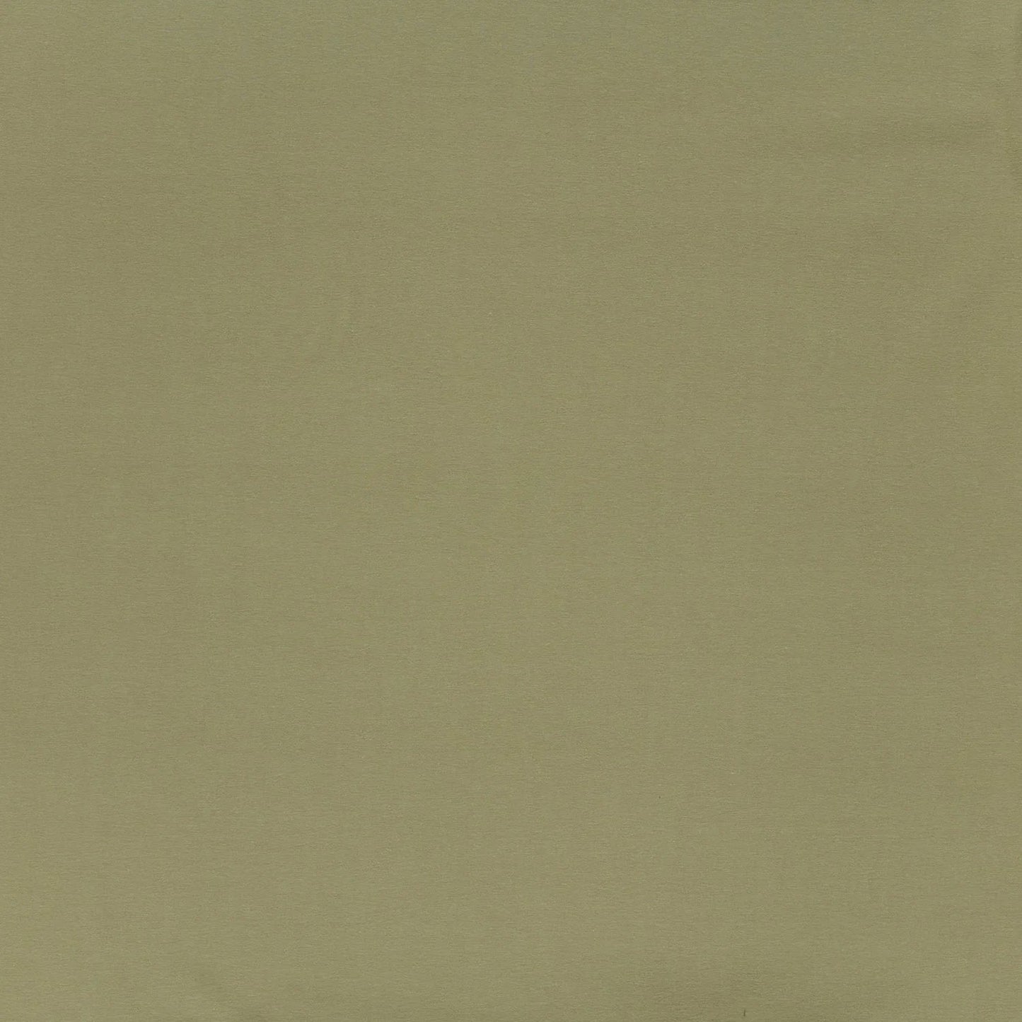 Baumwolljersey, olivgrün