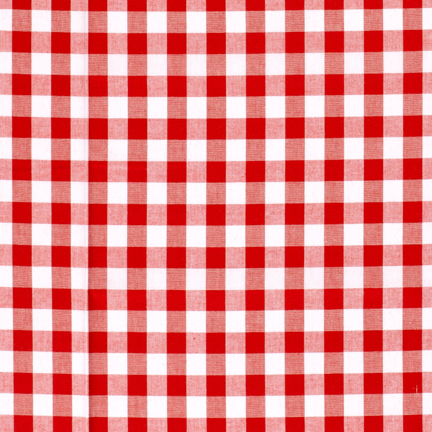 Cotton Poplin Gingham Red 10 mm