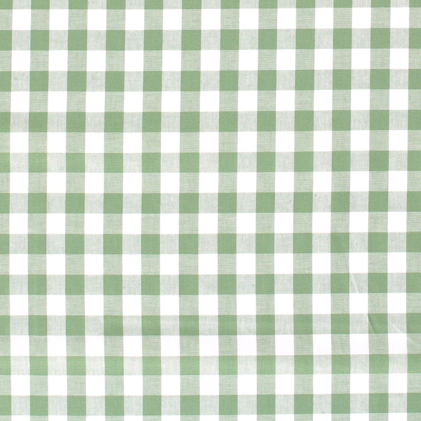 Cotton Poplin Gingham Mint 10 mm